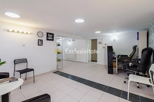 Spatiu Comercial Piata Gojului-Bulevardul Timisoara - imagine 6