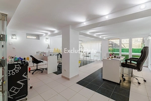 Spatiu Comercial Piata Gojului-Bulevardul Timisoara - imagine 7