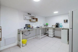 Spatiu Comercial Piata Gojului-Bulevardul Timisoara