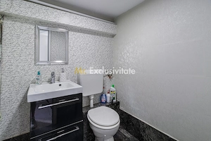 Spatiu Comercial Piata Gojului-Bulevardul Timisoara - imagine 2