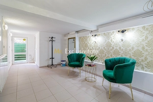 Spatiu Comercial Piata Gojului-Bulevardul Timisoara - imagine 4