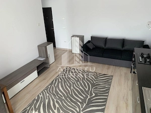 Apartament 2 camere de inchiriat, Remetea Mare - imagine 3