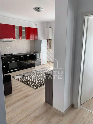 Apartament 2 camere de inchiriat, Remetea Mare - imagine 2