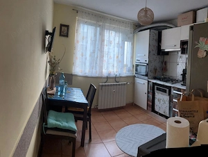 Inchiriez apartament 2 camere sector 3 DRISTOR, str Istriei - imagine 6