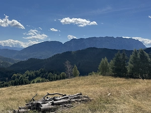 Teren platou superb de 16.000mp cu curent 380V Poiana Mărului   Bârsa Fierului - imagine 2