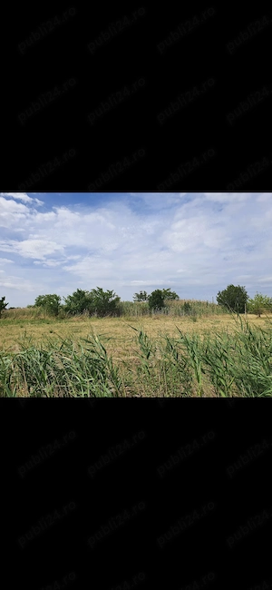 Teren de închiriere in Spataru-Buzău  - imagine 2