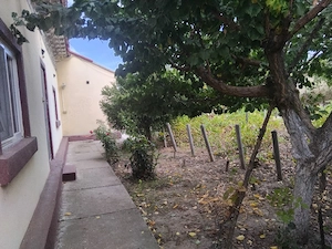 Casa de vanzare, com Gaujani jud giurgiu  - imagine 5