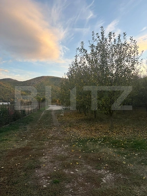 Casă de vânzare, 170 mp, zona Sud-Vest - Șard - imagine 10