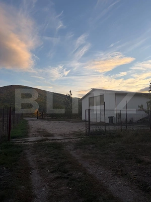 Casă de vânzare, 170 mp, zona Sud-Vest - Șard - imagine 9