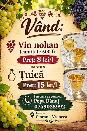 Vând vin și țuică
