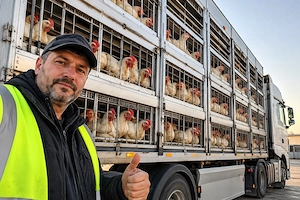  angajăm urgent șofer profesionist tir   transport păsări vii 