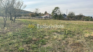 Teren intravilan – 1.135 mp, sat Crampotani, com. Merisani - imagine 2