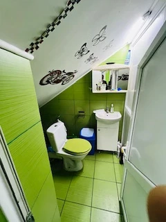 Spatii comerciale de inchiriat  - imagine 8