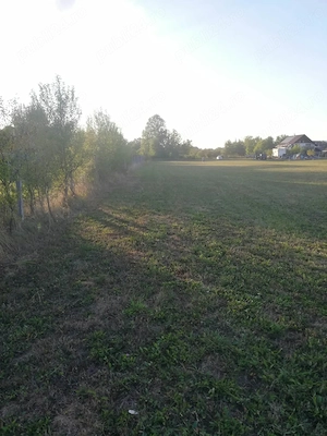 Teren intravilan de vânzare   20 ari   Săcălășeni, Maramureș | Proprietar - imagine 4