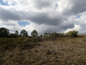 Teren în panta cu vedere la lac, la Herneacova, zona de agrement pentru casa, 1285 mp, doua fronturi - imagine 3