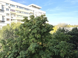 COMISION 0% - Apartament 2 camere 54mp luminos la 3 minute metrou Parc Bazilescu - imagine 6
