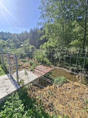 Casă de vacanță din lemn, 50 mp   Tulgheș, la strada principală ( drum asfaltat), lângă pârâul Putna - imagine 9