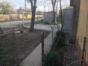 Vanzare Spatiu Comercial com. Brădeanu, jud. Buzau - imagine 5
