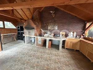 Casa cu potential de investitie 7 camere foisor 4 bazine de pesti  - imagine 20