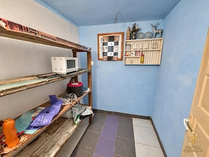 Casă cu teren de vânzare în Victor Vlad Delamarina - imagine 2