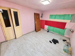 Casă cu teren de vânzare în Victor Vlad Delamarina - imagine 3