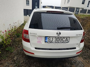 Vand - Schimb Skoda Octavia 3, 2014, 1.6TDI - imagine 3