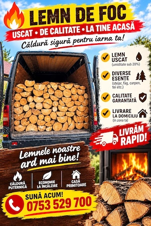 Lemne de foc gata tăiate 
