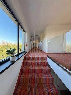 PENSIUNE + CASĂ DE LOCUIT | VALEA AVRIGULUI | 830 MP UTILI | 4.600 MP TEREN | - imagine 6