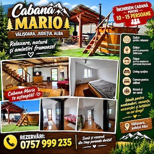 inchiriez cabana - imagine 4