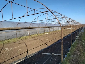 Vând solarii cu structură metalică