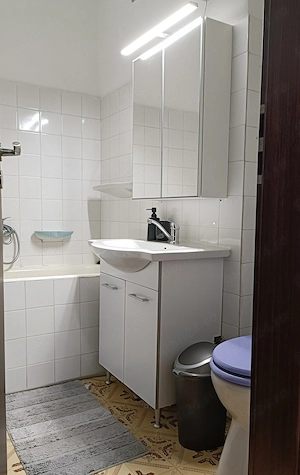Proprietar - închiriez apartament 1 cameră Take Ionescu - imagine 3