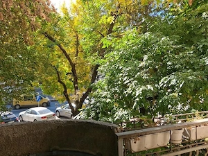 Apartament 2 camere la 3 min Metrou Piata Sudului / Mall SunPlaza. Etj 1. - imagine 2