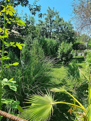 Casa-Vila  Noua  la intrare in Buzescu   P+M - imagine 4