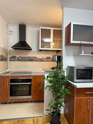 Inchiriez  2 camere Bacila - imagine 6
