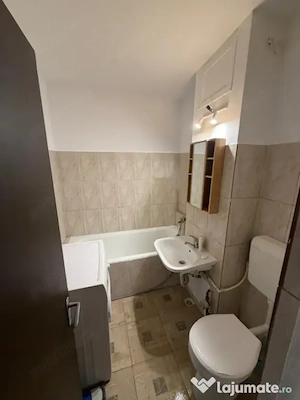 garsoniera teiul doamnei-colentina - imagine 5