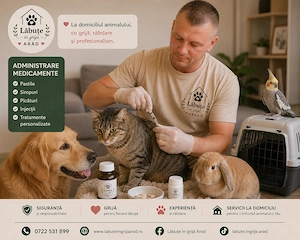 Pet sitter la domiciliul clientului, dog walker, tranp animale, tratament veterinar, animale exotice - imagine 3