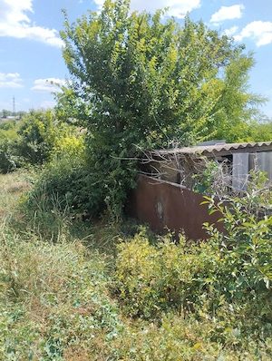 Două terenuri intravilane în sat Costi, com. Vânători, jud. Galați - imagine 4