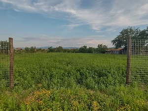 Teren intravilan Dumbrava Timiș, 2800 mp - imagine 2