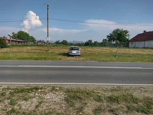 Teren intravilan Dumbrava Timiș, 2800 mp