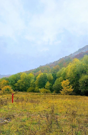 COMISION 0% | Teren intravilan 421 mp I Valea Măieruşului I PUZ turistic aprobat