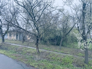 Teren intravilan loc Cil, com. Almaș, jud. Arad - imagine 6