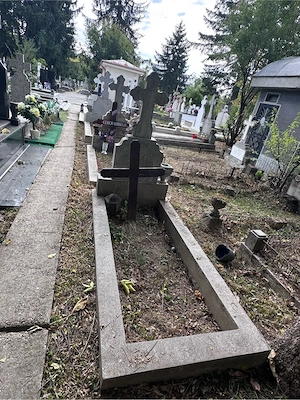Vand loc de veci Cimitirul Damaroaia  - imagine 4