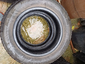 175.65.14 Nexen si 195.65.15 Bridgestone