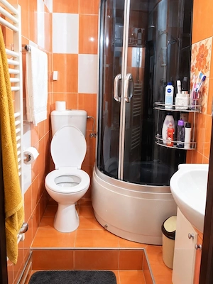 Apartament 2 camere decomandat, mobilat și utilat – Trivale, Complex 2 - imagine 5