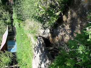 Gradina cu cabana de vanzare. - imagine 3
