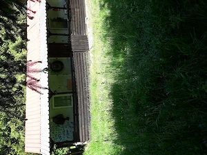 Gradina cu cabana de vanzare. - imagine 4