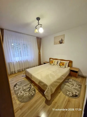 Gorjului, apartament 2 camere cu centrala proprie - imagine 5