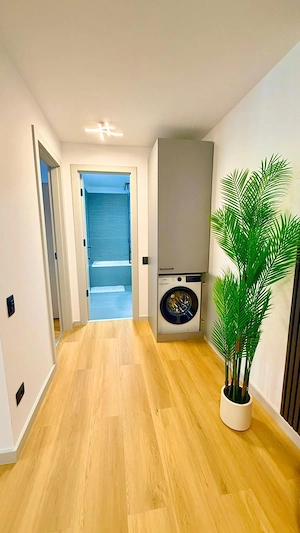 Apartament cu 2 camere de închiriat – Calea Torontalului, lângă Lidl - imagine 20