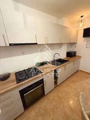 Apartament 2 camere de inchiriat, vis-a-vis Iulius Mall - imagine 5