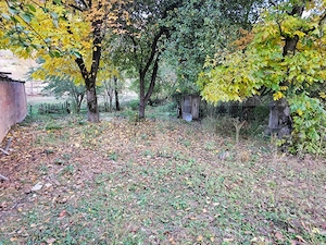 Casă cu teren intravilan de 939 mp, în zonă turistică – Târsa, Avram Iancu - imagine 7